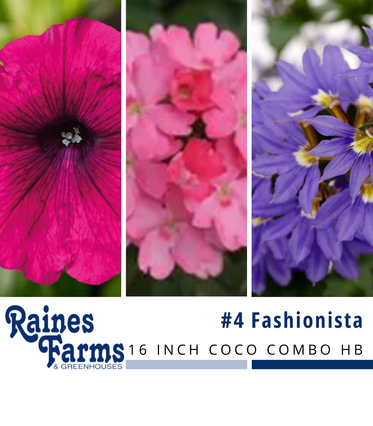 #4: Fashionista 16 Inch Coco Combo Hanging Basket 